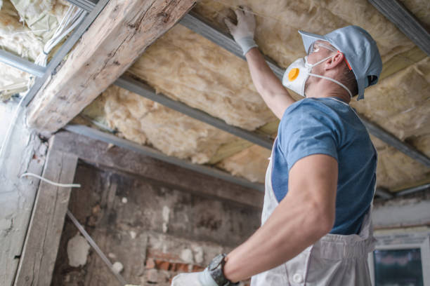 Best Attic Insulation Installation  in Bryn Mawr Skyy, WA
