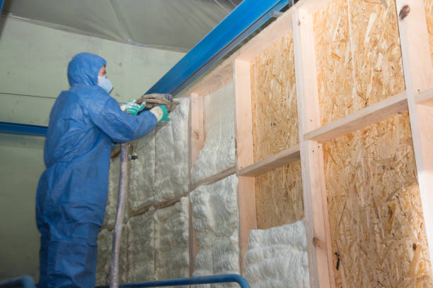 Best Spray Foam Insulation  in Bryn Mawr Skyy, WA