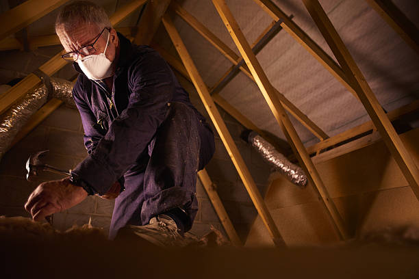 Insulation for Commercial Buildings in Bryn Mawr Skyway, WA