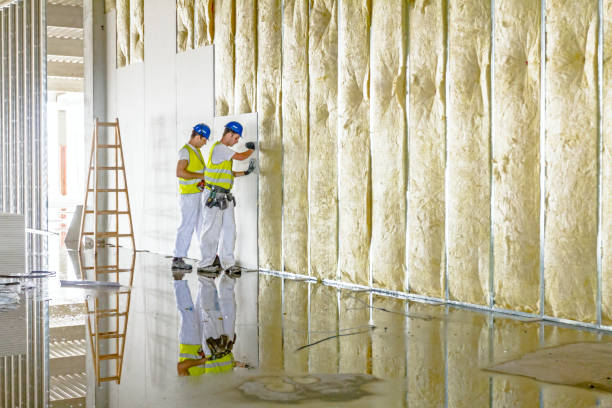Best Spray Foam Insulation  in Bryn Mawr Skyy, WA